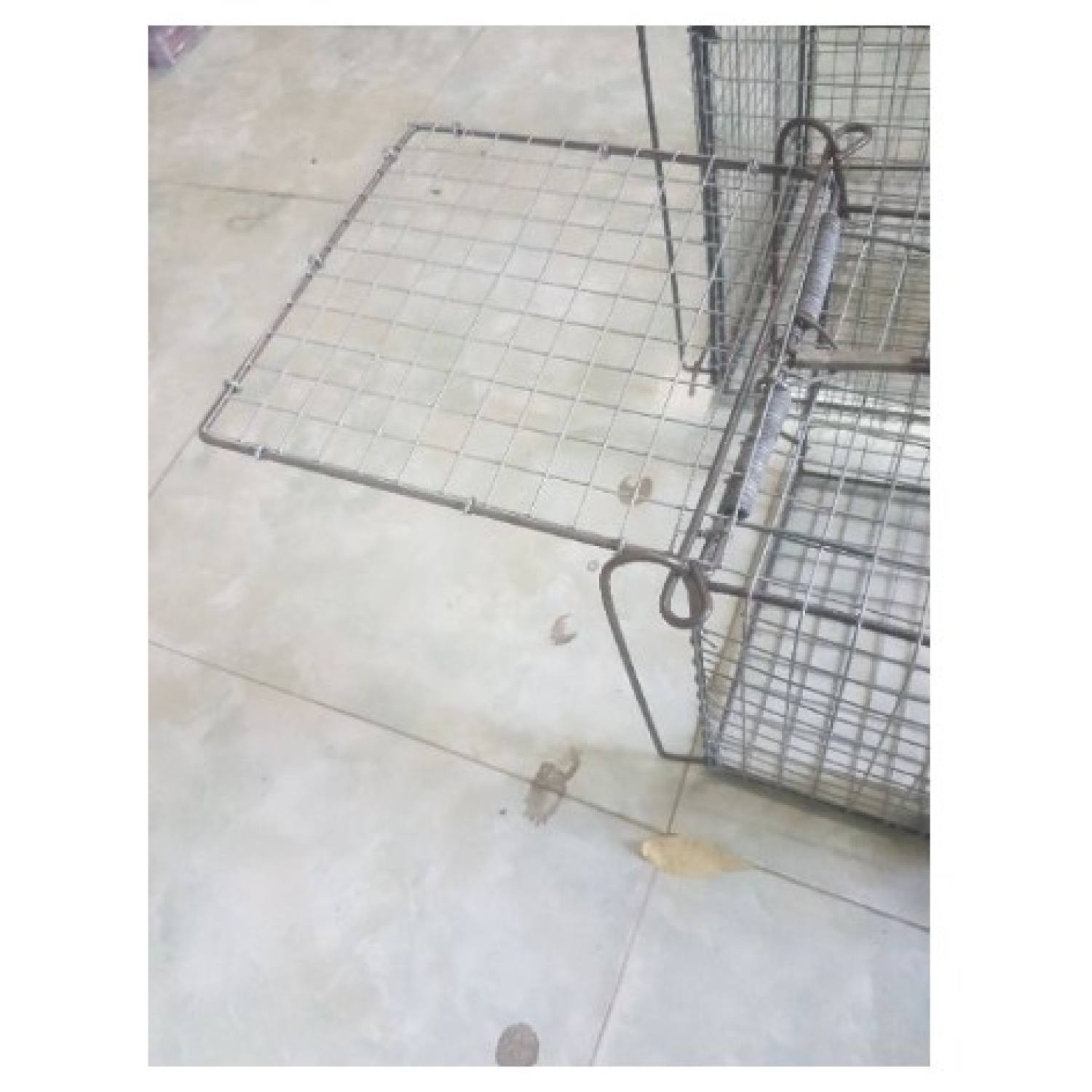 Lồng bẫy đa năng ( mèo, chuột, sóc, dúi.....)