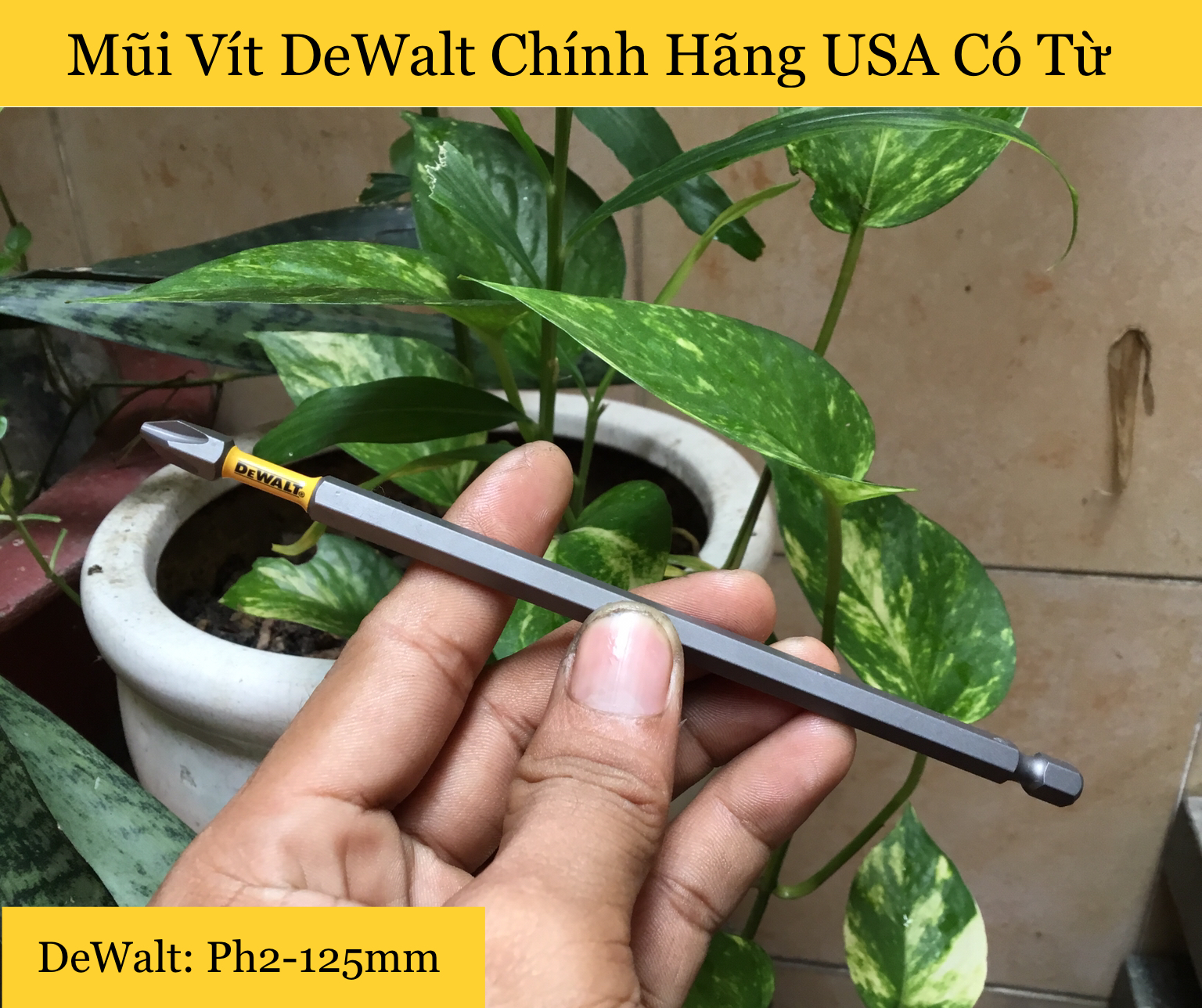 [HCM]Mũi Vít DeWalt Chính Hãng Ph2 152mm