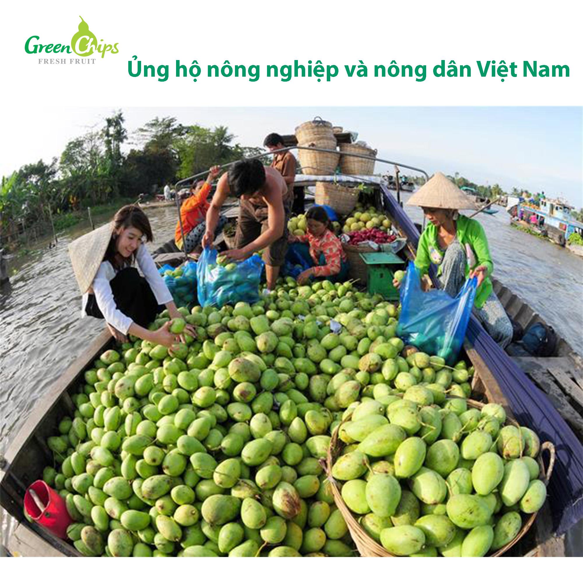 Xoài sấy dẻo 100 gram  - Green Chips