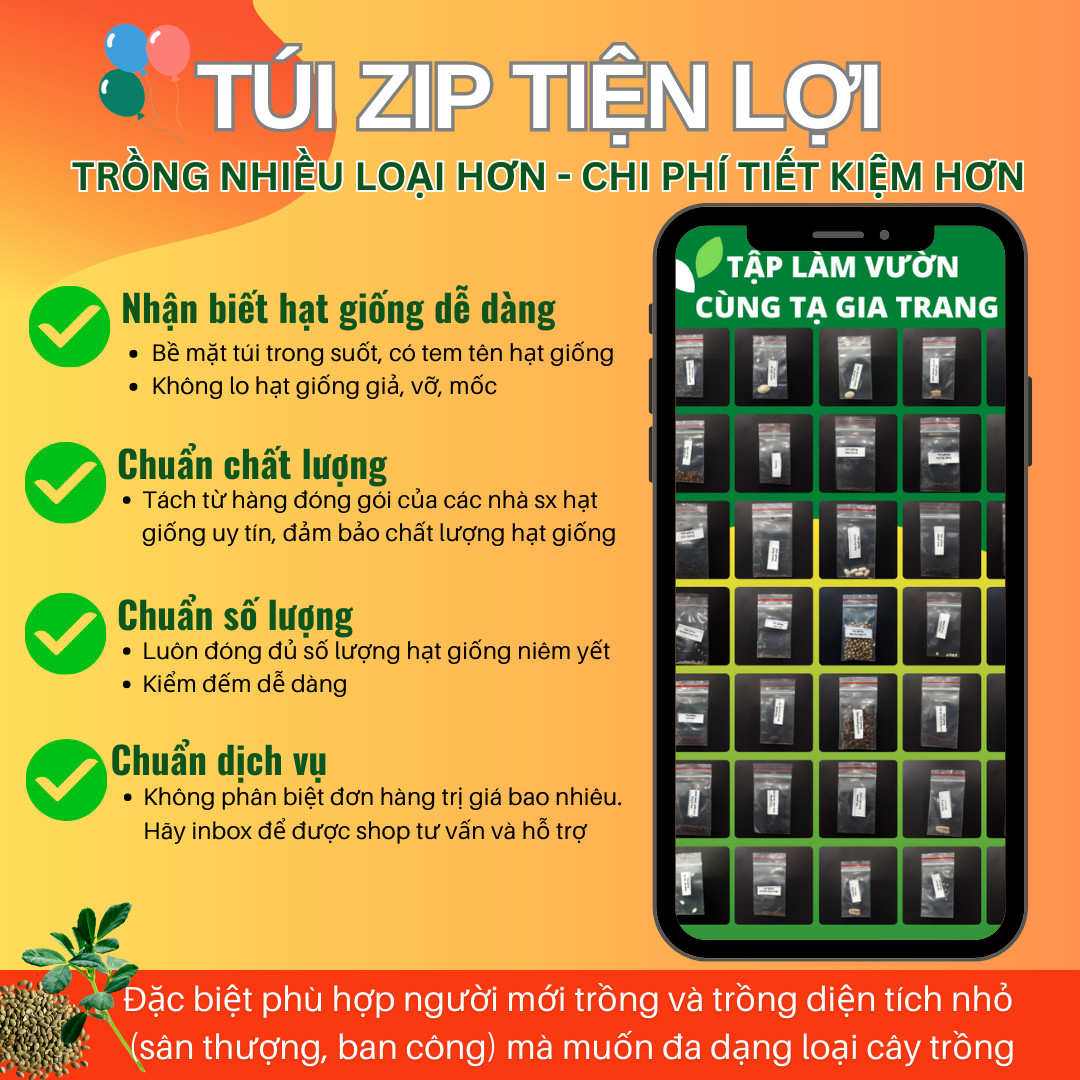 Deal 1K Hạt giống đậu đũa (đậu dải áo)