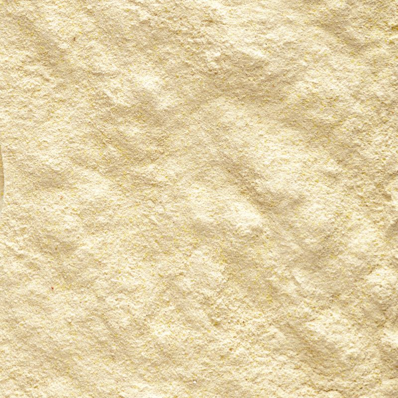 Bột Dành Cho Vẹt Non NutriBird A21 / Túi 100g
