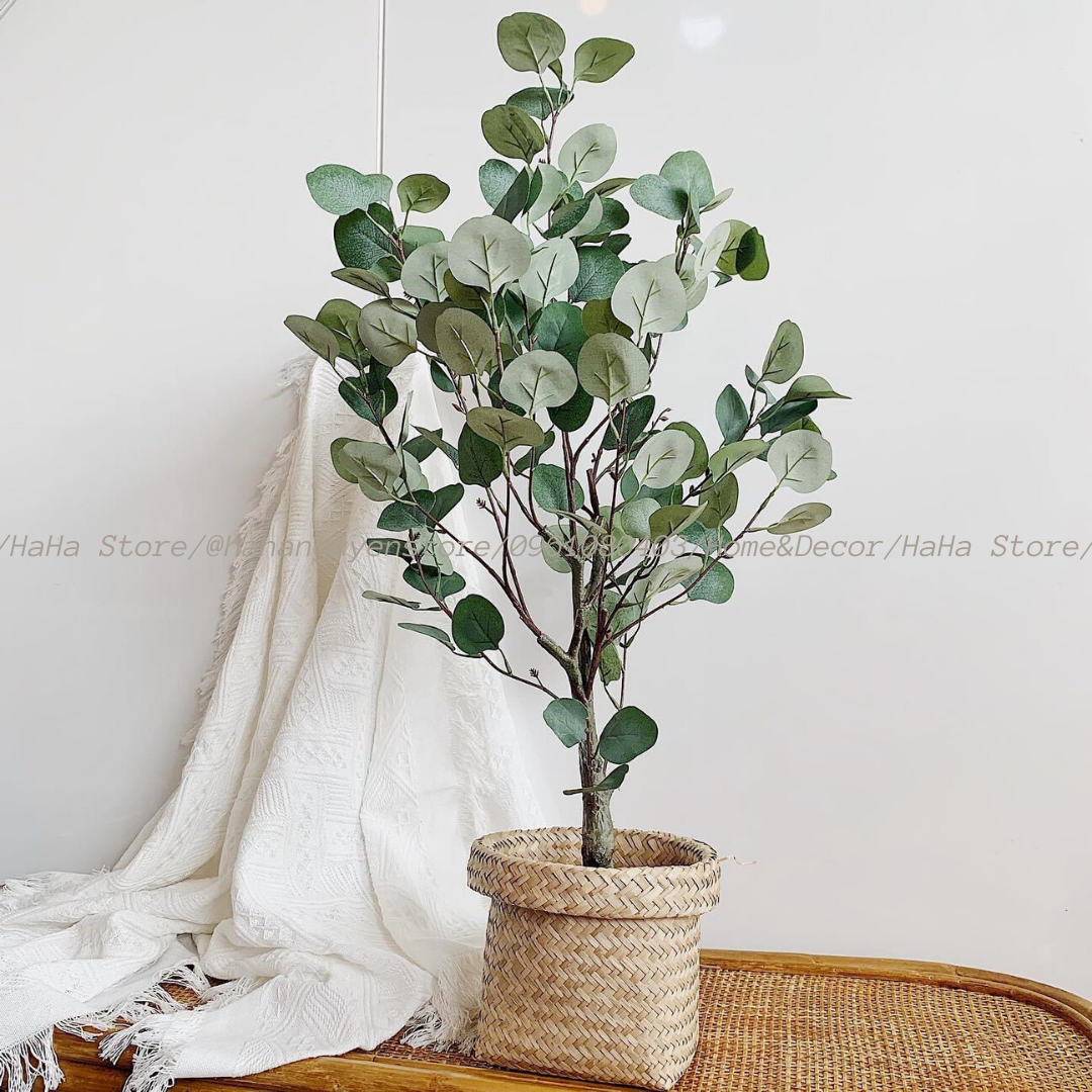 Thúng cói Decor Giỏ Cói Trồng cây GCD02