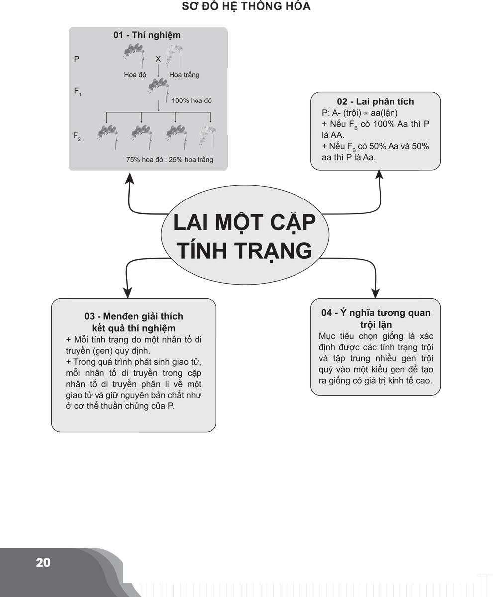 Bí quyết chinh phục Điểm cao Sinh học 9