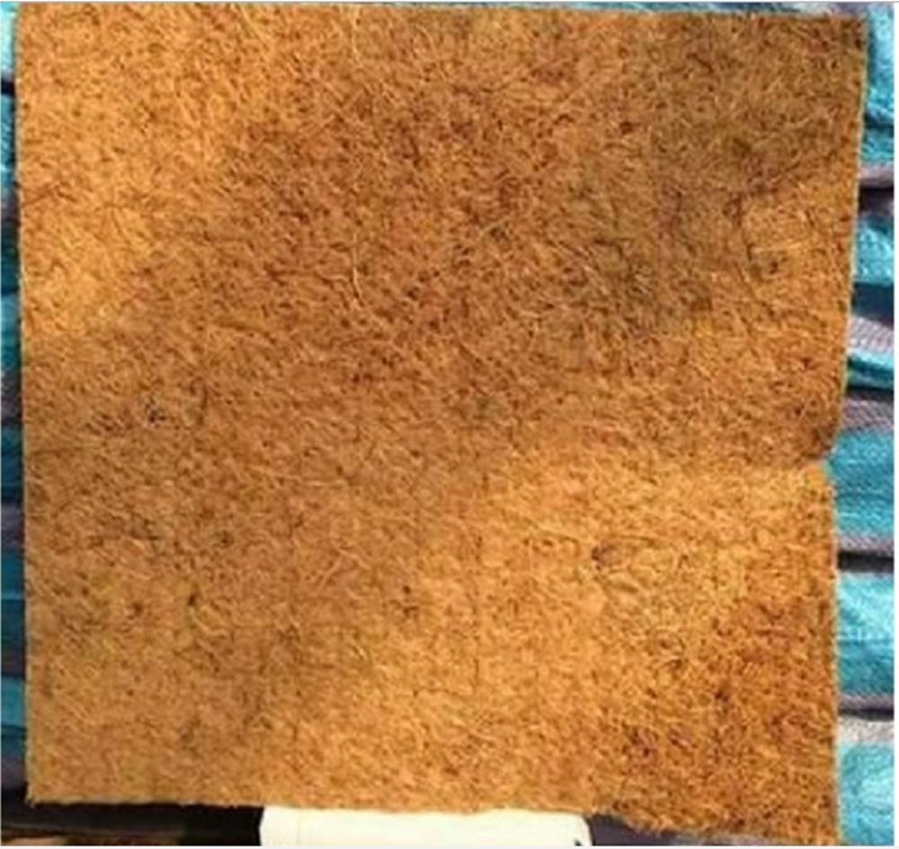 Thảm trồng lan sơ dừa 50*50 cm