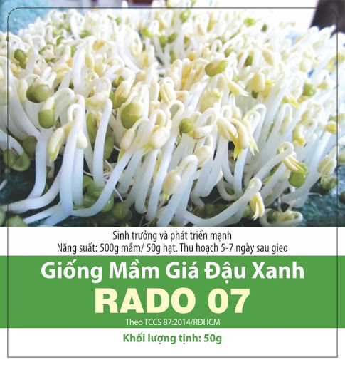 [HCM]Hạt Giống Mầm Giá Đậu Xanh Dễ Trồng 50gr