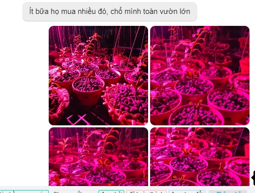 Đèn Cho Hoa Lan Thế Hệ Mới 20W - Zako