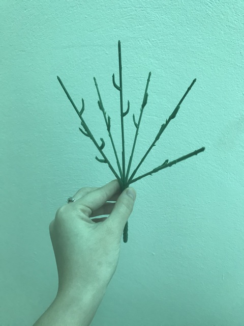 Combo 100 Thân cành cắm hoa - Phụ kiện làm hoa