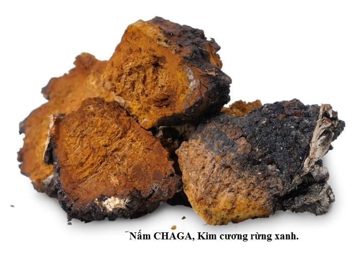 Nấm Chaga Nga Siberia 1kg
