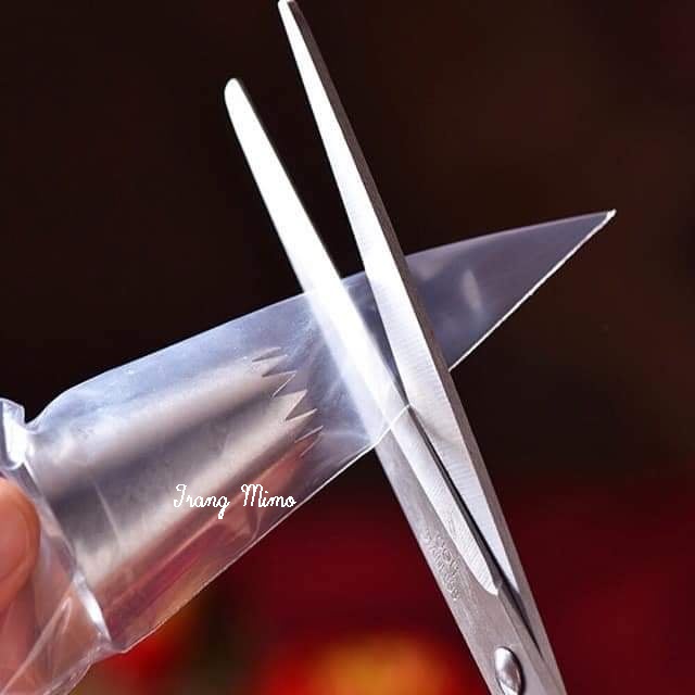 Túi bắt kem nilong cỡ to (10c)