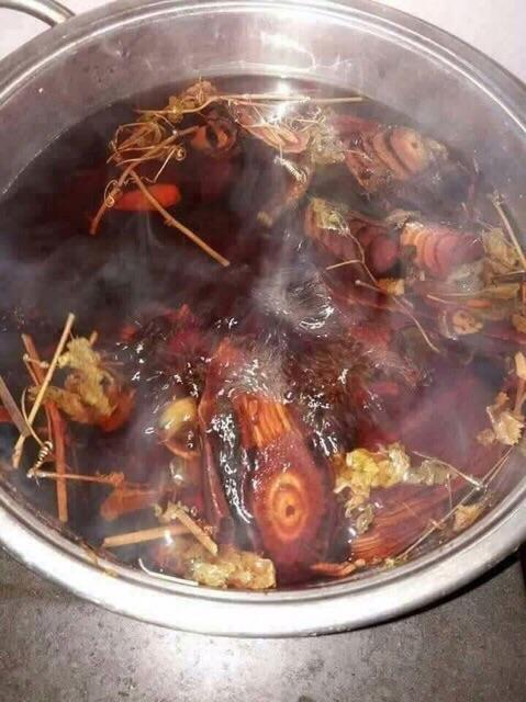 1 kg cỏ máu thuần vị không trộn