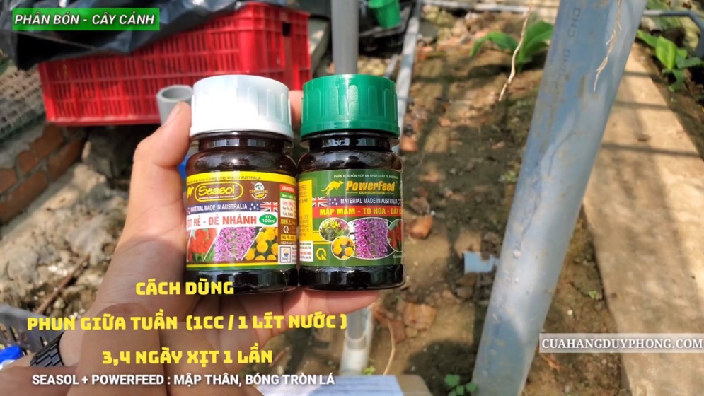 [Có video hướng dẫn] Bộ 5 lọ kích rễ, mập thân, dưỡng lan