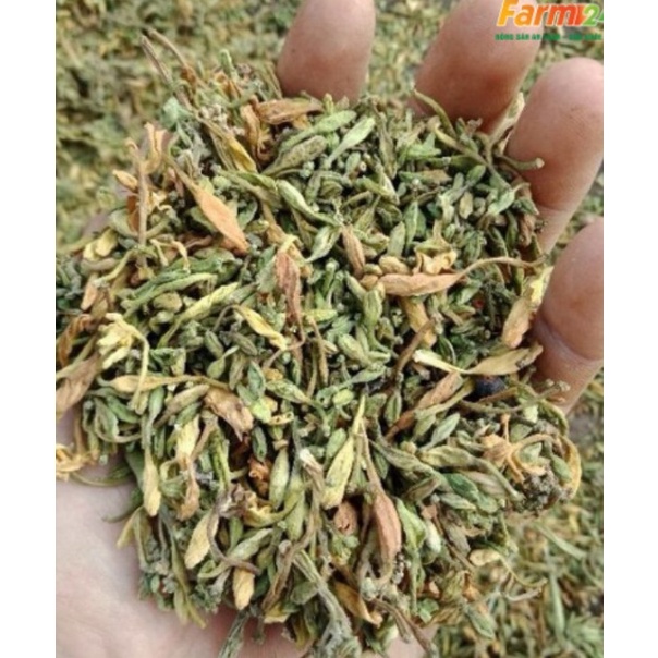 Trà Hoa Đu Đủ Đực Sấy Lạnh Thơm Ngon