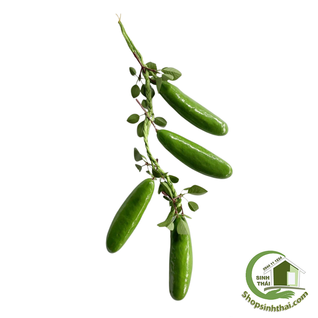 Dây dưa leo giả - Dây củ quả giả cao cấp [ Kho sỉ ]