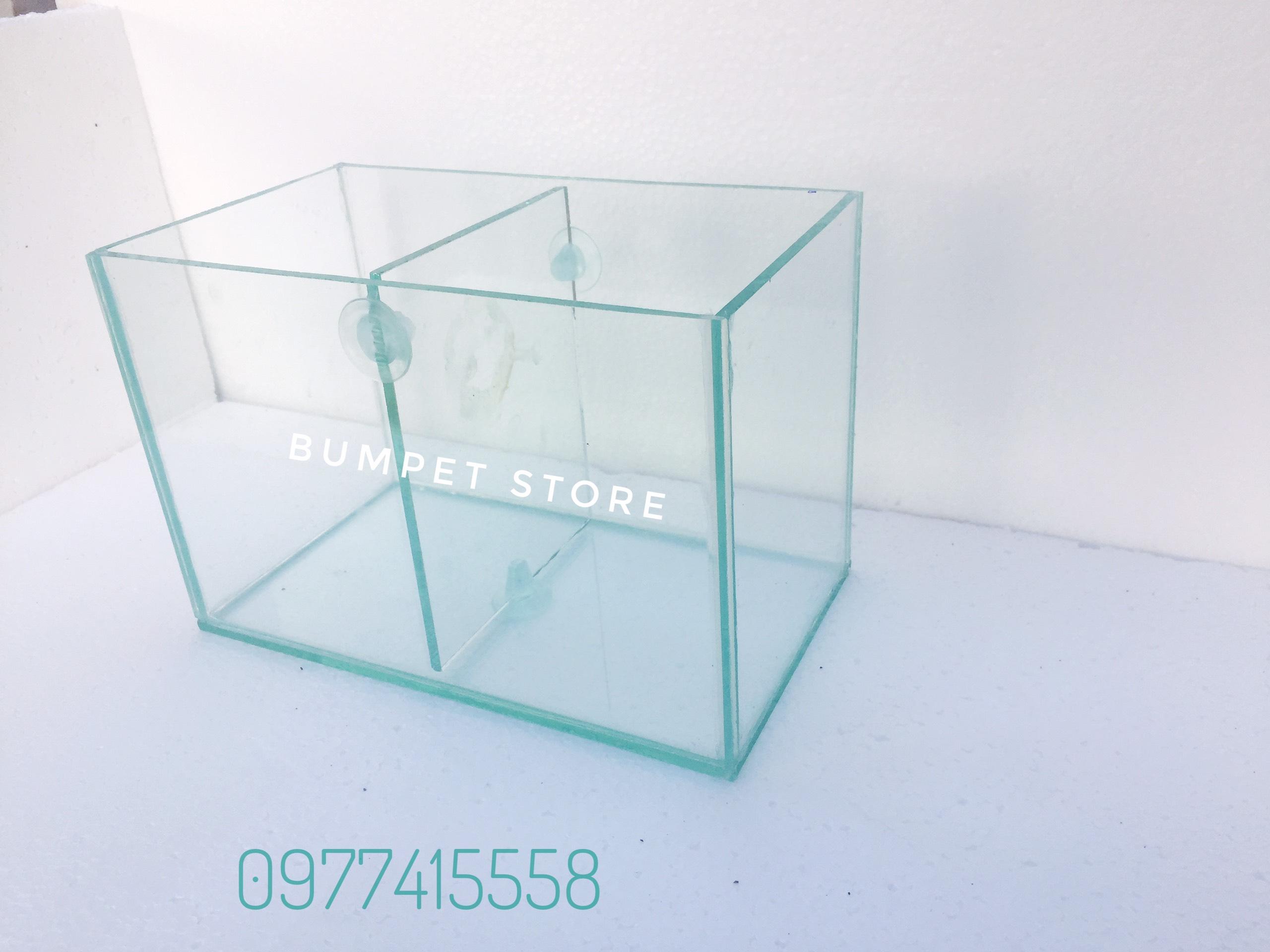 Bể cá betta có vách ngăn đôi (vách ngăn có thể tháo lắp)