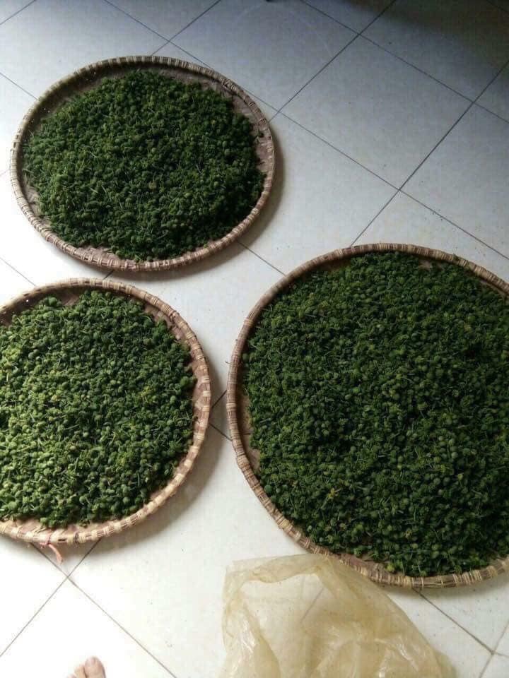 Nụ hoa tam thất - Hà Giang (0,5kg)