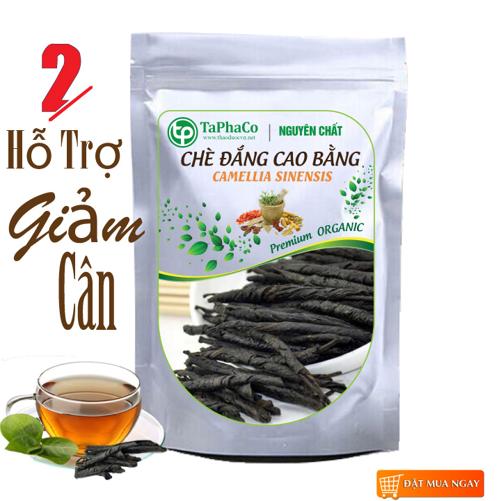 [Hàng Mới Về] Chè đắng Cao Bằng sấy khô - Hàng sạch xanh chất lượng cao đóng gói túi lớn 1kg - Dùng để pha các món trà thơm ngon và bổ dưỡng