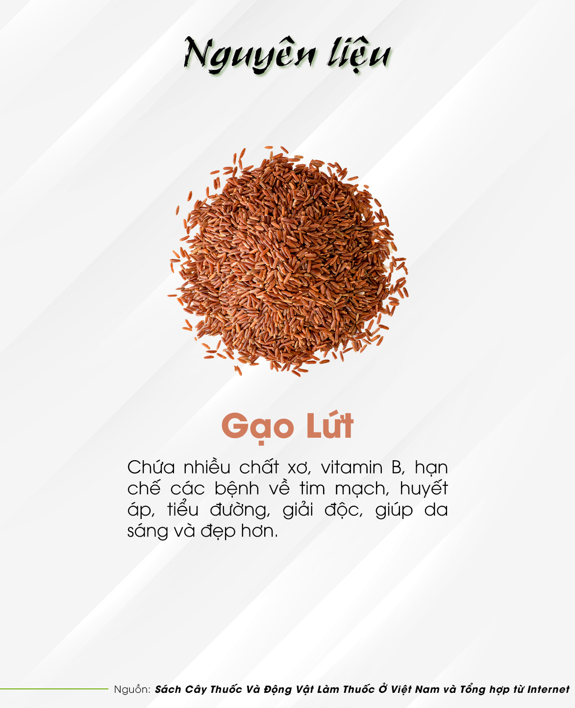 TRÀ GẠO LỨT  - Trà Hùng Phát