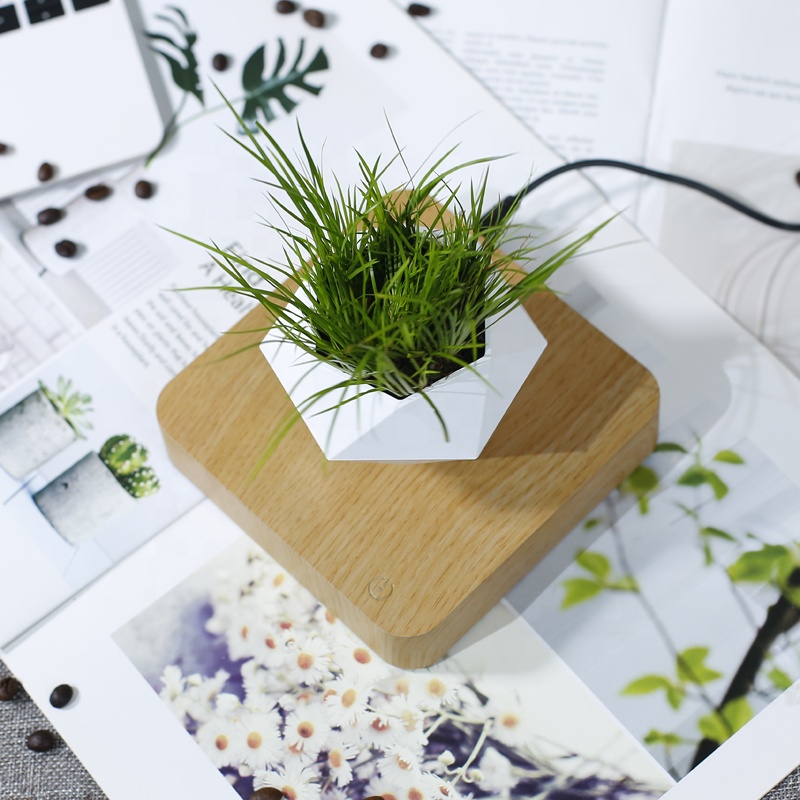 kệ trưng bày sản phẩm bonsai bay lơ lửng
