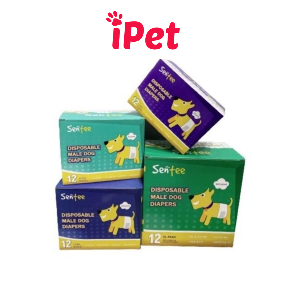 Tã Bỉm Cho Chó Đực Sentee Tả Thấm Hút Khử Mùi - iPet Shop