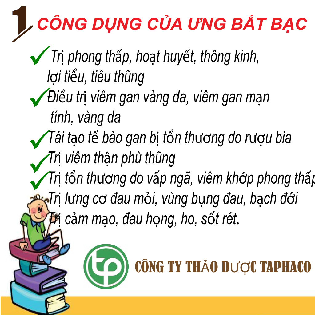 [Hàng mới nhập] Ưng bất bạc khô 500g - Tấn Phát - Chuyên dùng để sắc nước uống hoặc pha trà