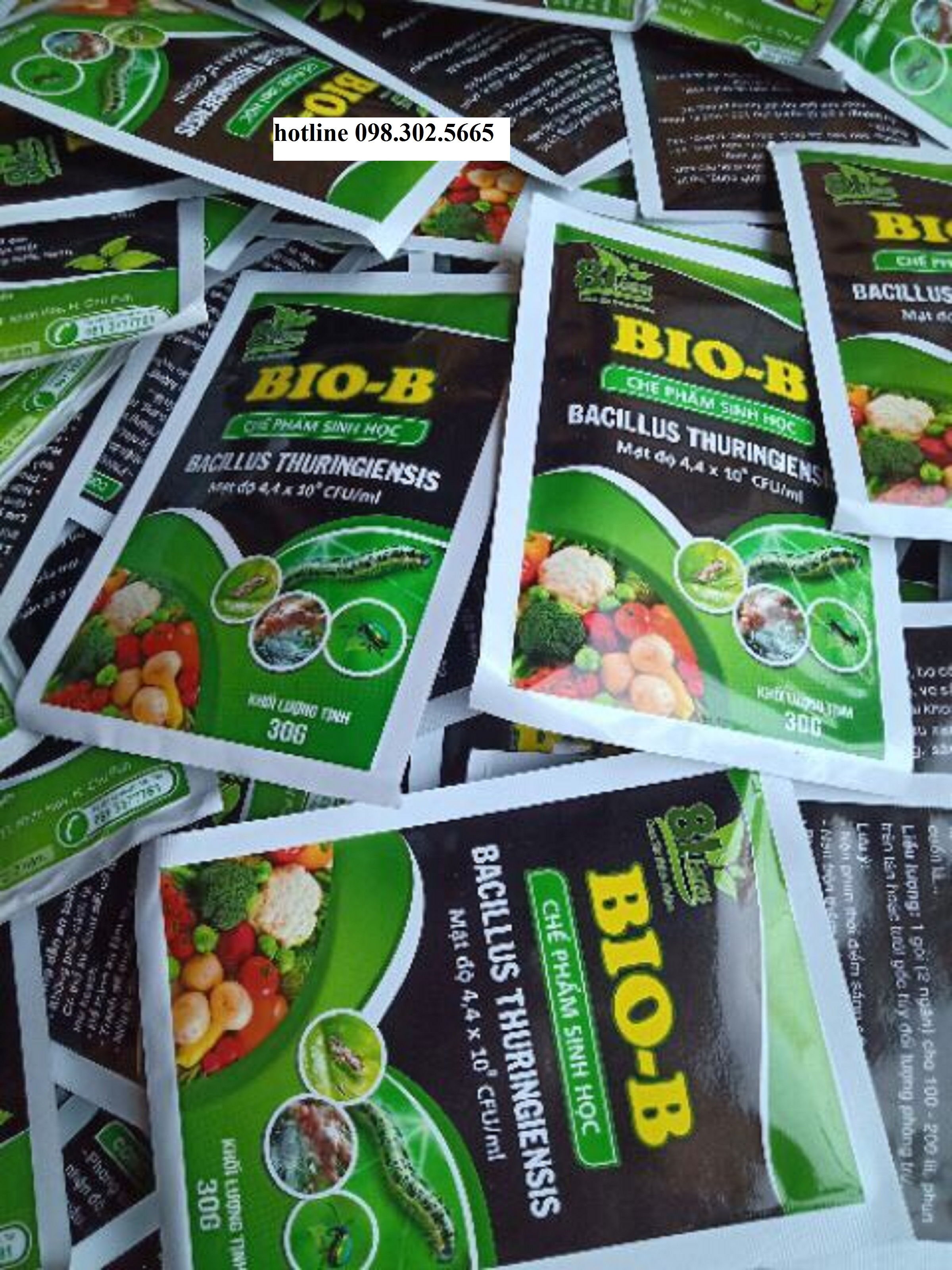 10 gói Chế phẩm sinh học trừ sâu, rầy, rệp... BIO-B gói 30g