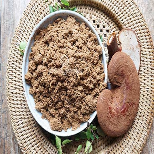 Premium Ganoderma Powder 100g - Tan Phat Herbal Medicine