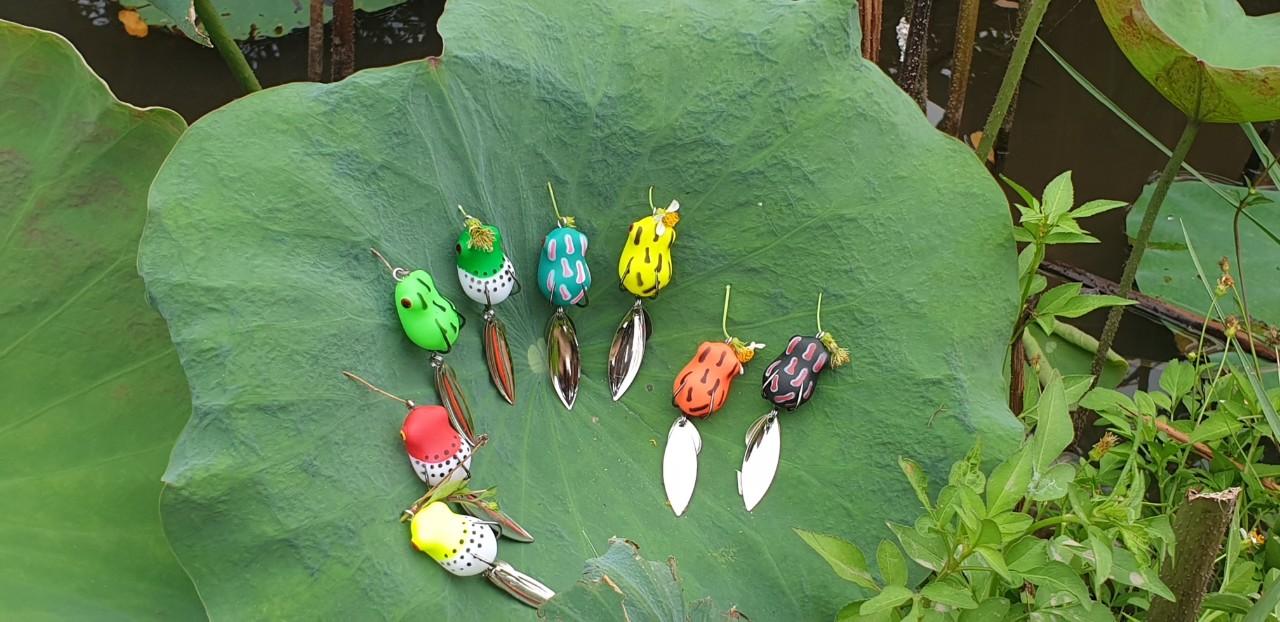 nhái hơi thái lan bayby fish