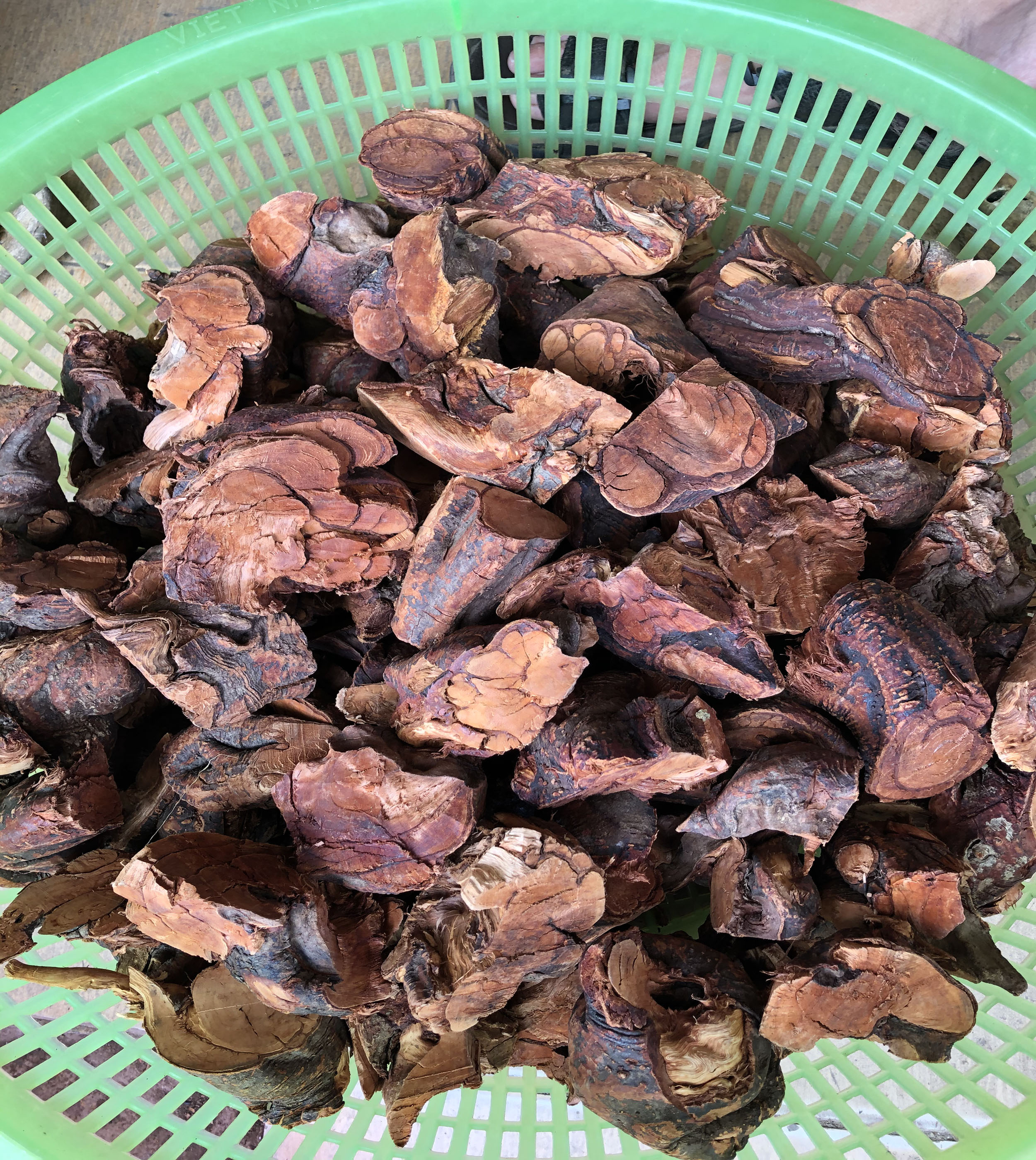 1Kg KIẾU NHIÊU LỴ