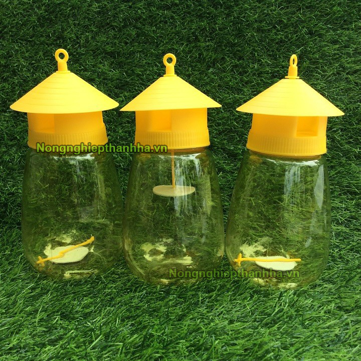 Lồng bẫy ruồi vàng kèm chất bẫy - D116