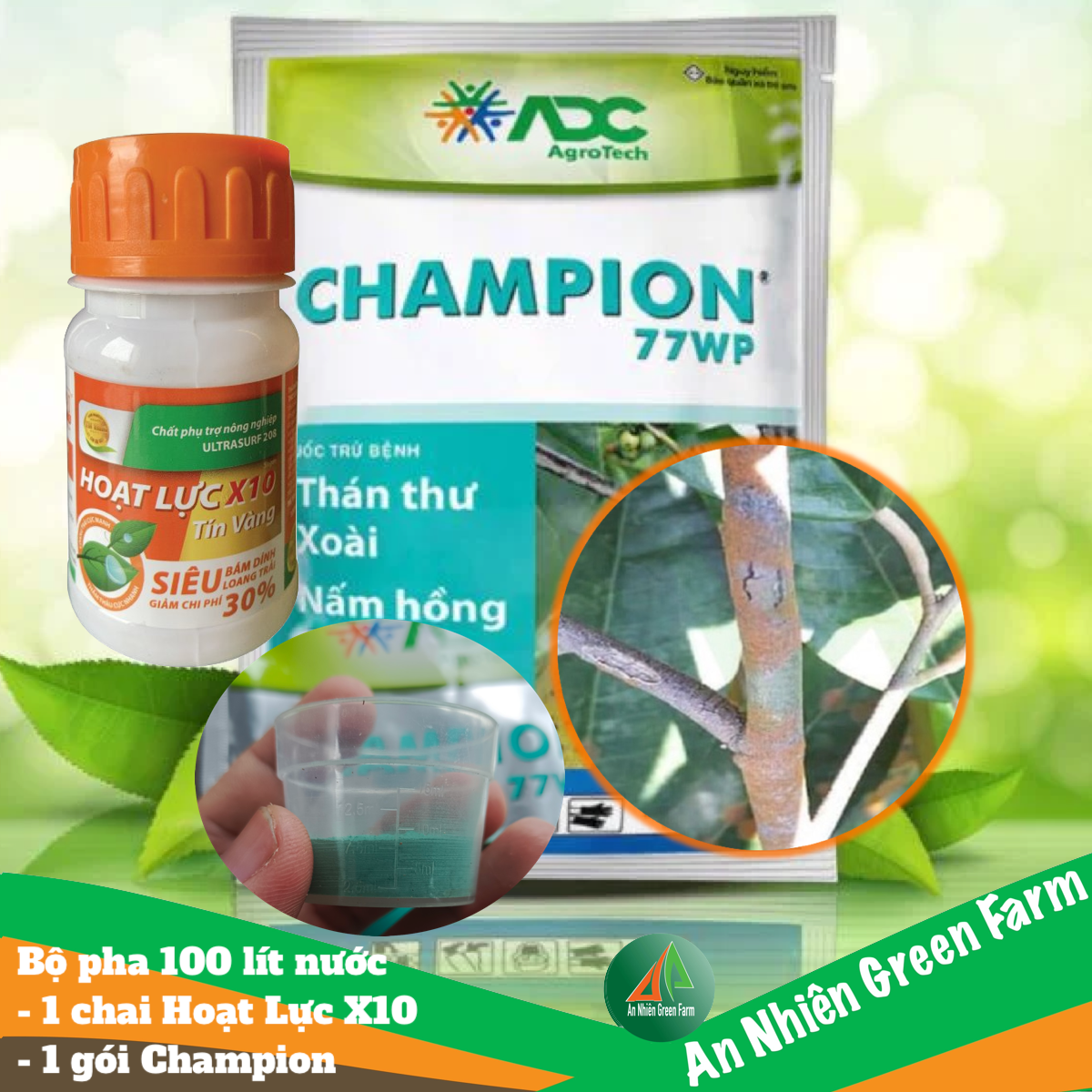 ĐẶC TRỊ NẤM HỒNG MAI VÀNG - CHAMPION ADC