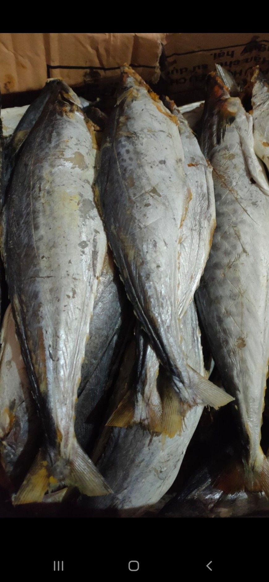 1kg Cá Thu khô loại to ngon