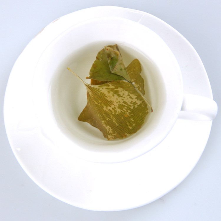 Lá Bạch Quả sấy khô sạch 100g