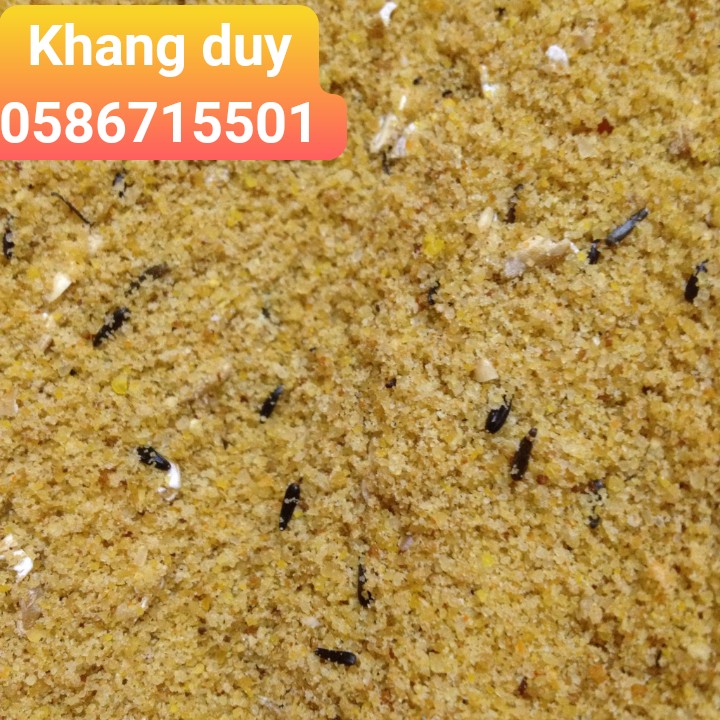 cám trứng cho yến hót 500g