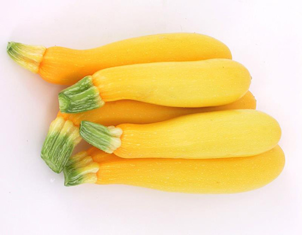 Hạt giống bí ngòi vàng