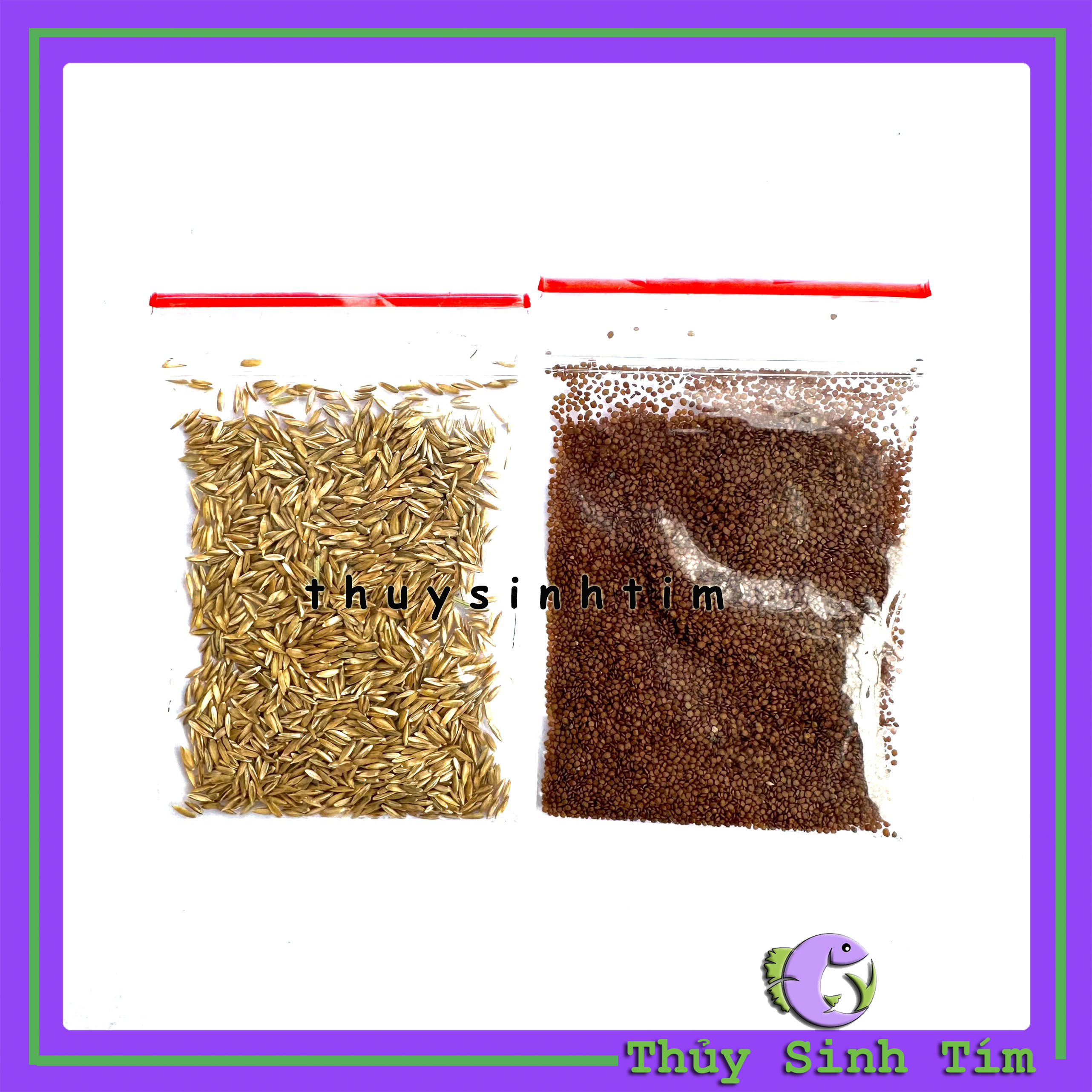 Hạt Giống Cỏ Thủy Sinh & Thanh Điệp (Trân Châu TQ)