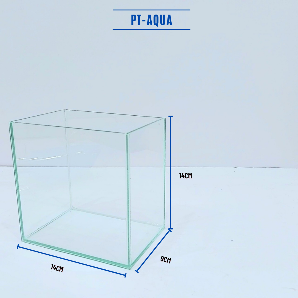 Bể cá mini Betta nhỏ xinh để bàn