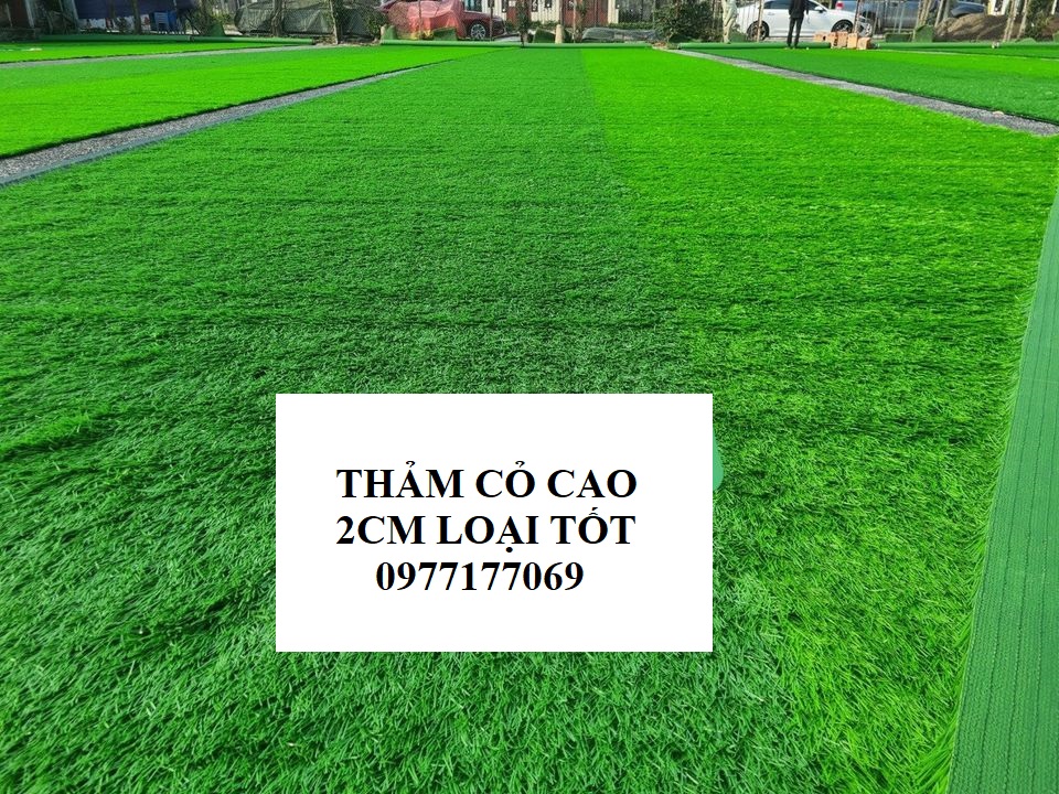 Cỏ Nhân Tạo lót sàn vỉa hè cao 2cm combo rộng 2m x 1m ,15m,2m ,2,5m ,3m , Thảm cỏ nhựa lót bể cá