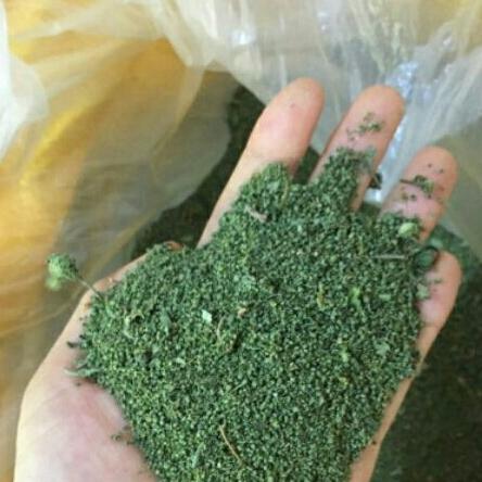 1kg nụ tấm tam thất