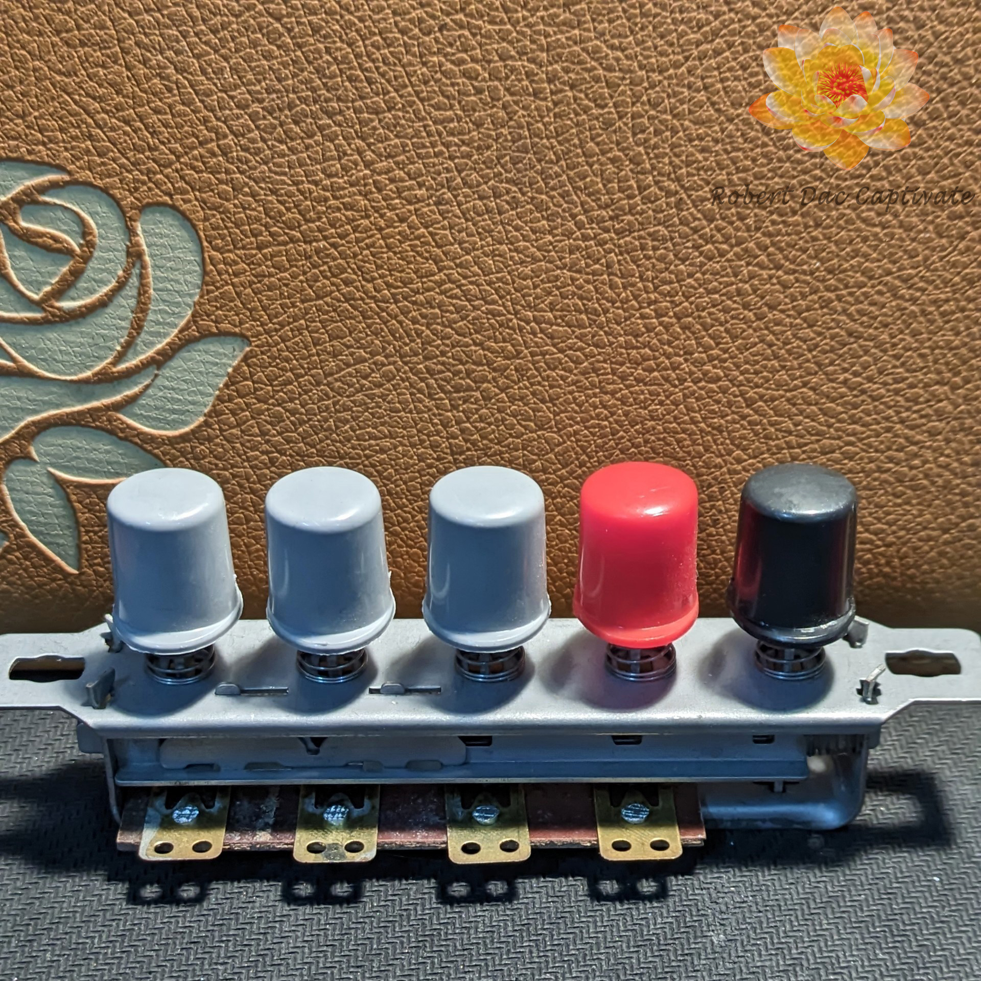 Công tắc quạt cây 5 số tròn