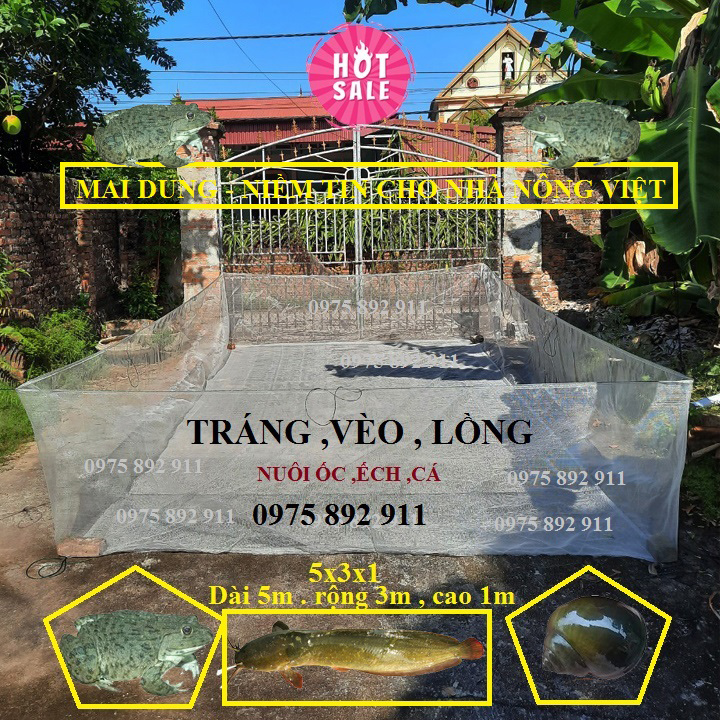 Tráng vèo lồng nuôi ốc ếch cá