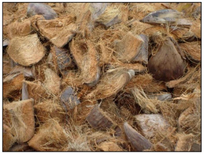 Vỏ dừa miếng trồng lan- gói 350gr