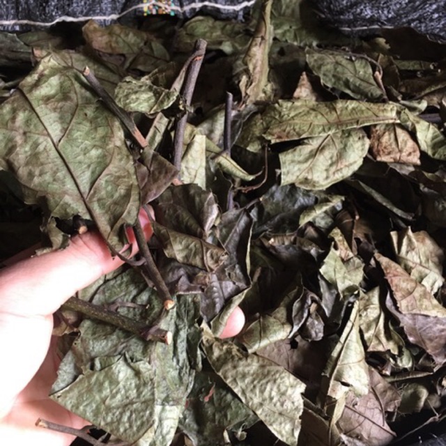 1kg Xạ Đen Hoà Bình CHÍNH GỐC (lá và thân)