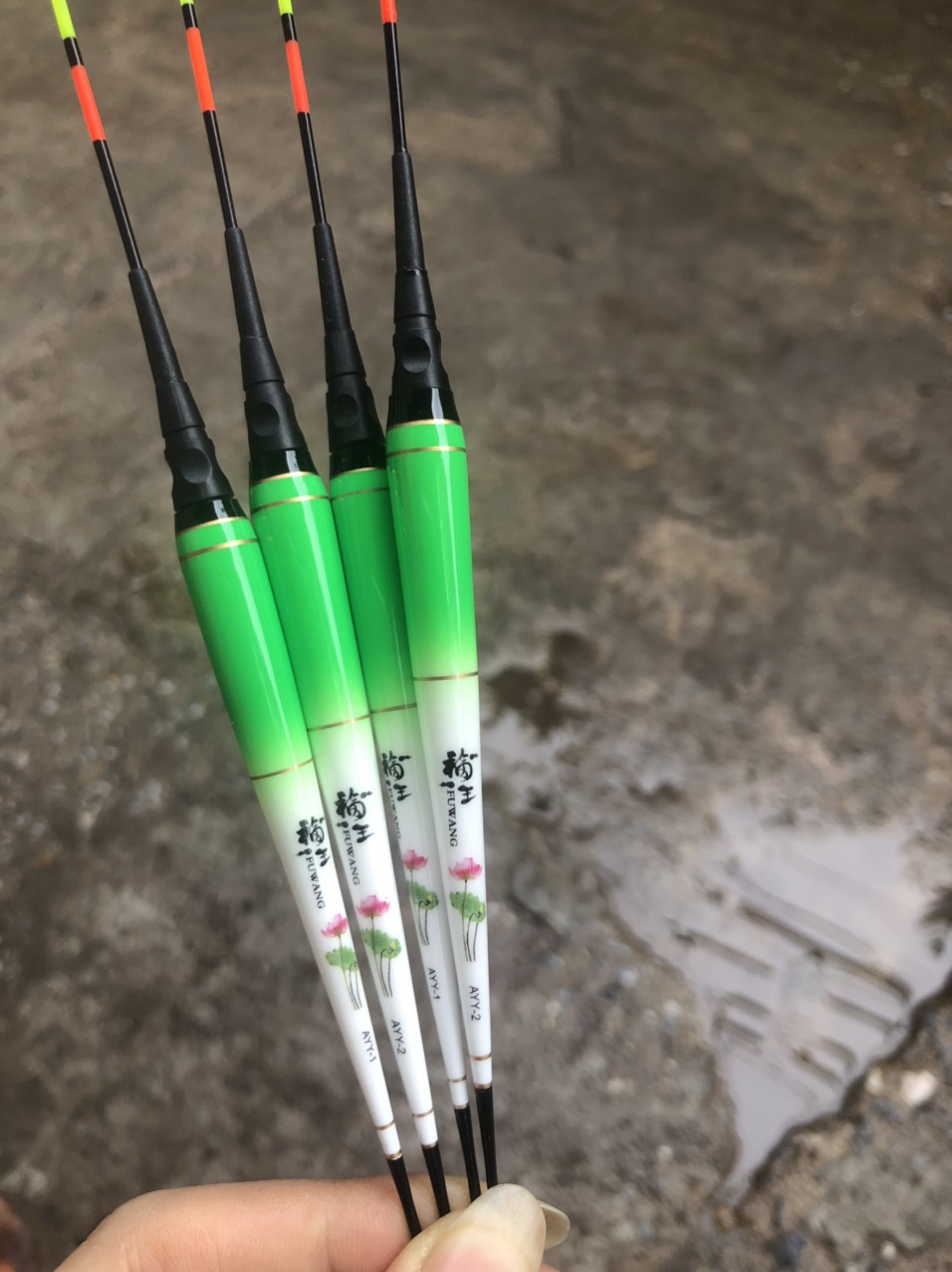 Phao Câu Ngày Đêm AYY Rô Diếc Chép