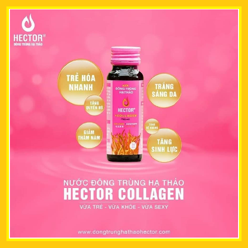 Nước đông trùng hạ thảo Hector collagen (Hộp 10 chai x 50ml)