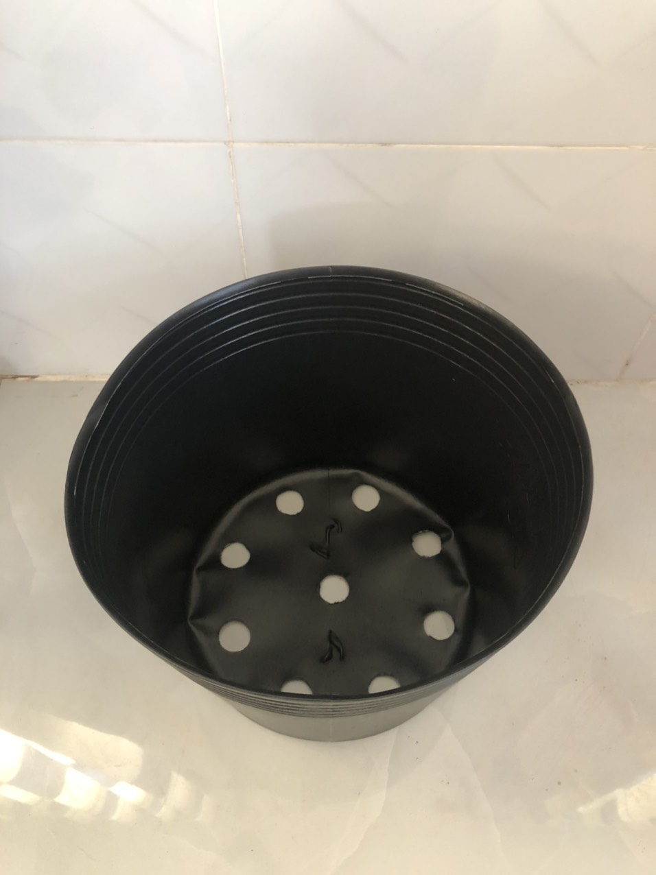 Chậu nhựa trồng cây 100 cái C8 đen