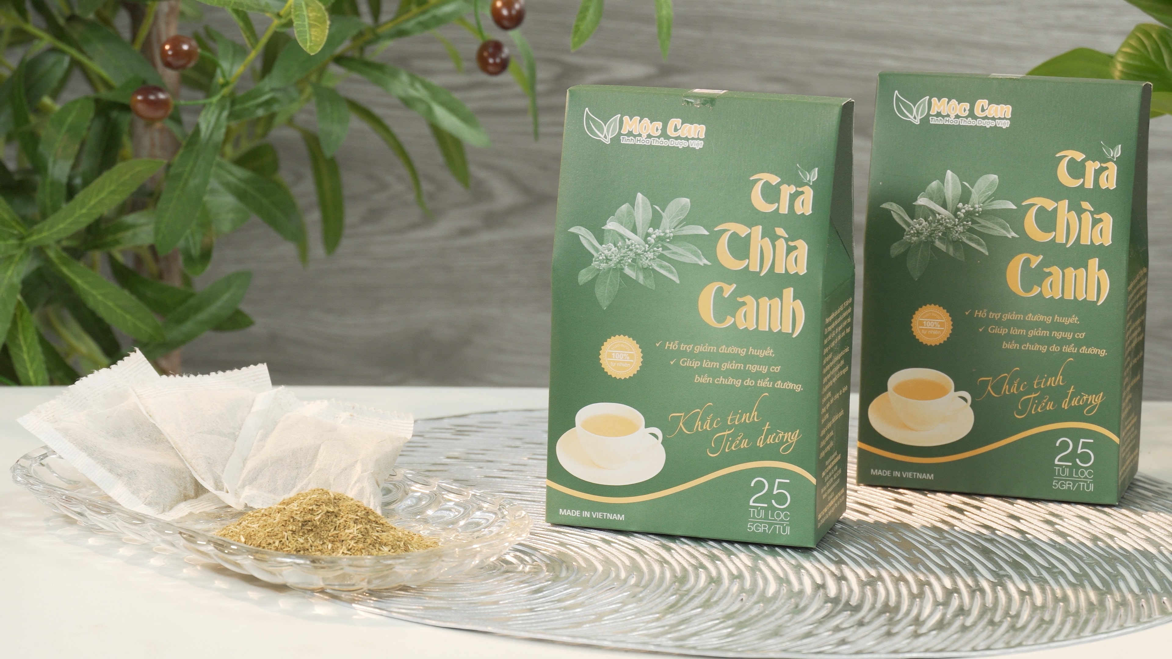 TRÀ DÂY THÌA CANH MỘC CAN