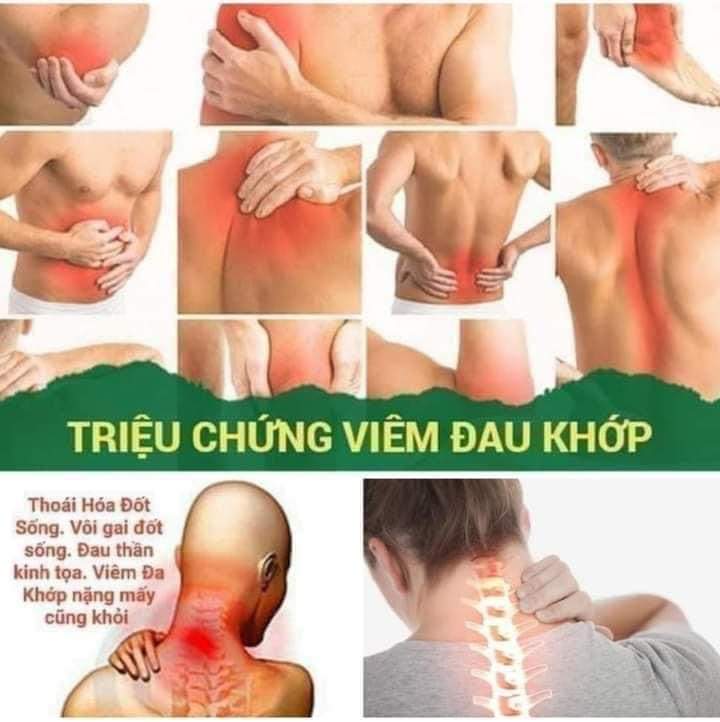 Tinh Dầu Thảo Dược Ngải Cứu MS:DTL_04
