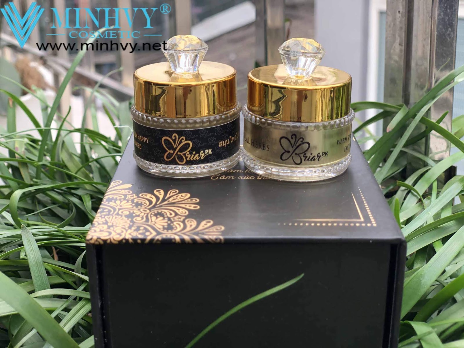 Viên đặt Se Khít phụ khoa Briar Queen Power