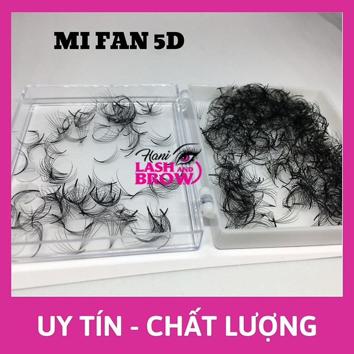 Lông Mi Fan Tay Sẵn 5D - Hani Beauty