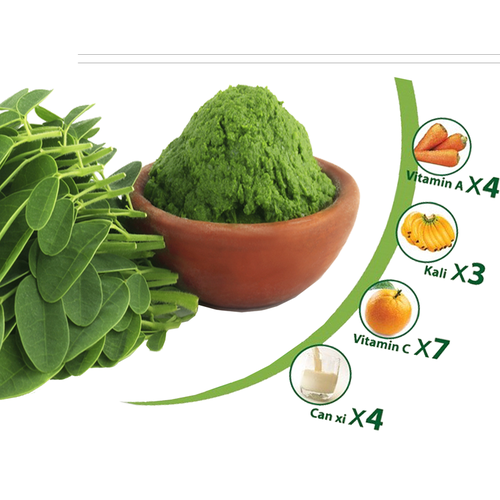 Hạt giống rau Chùm Ngây
